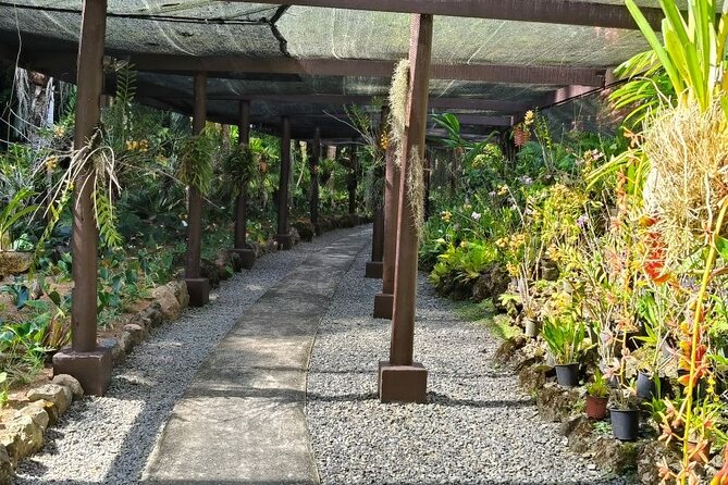 Fiji Lautoka Shore Excursions Tour - Should You Book This Lautoka Shore Excursion?