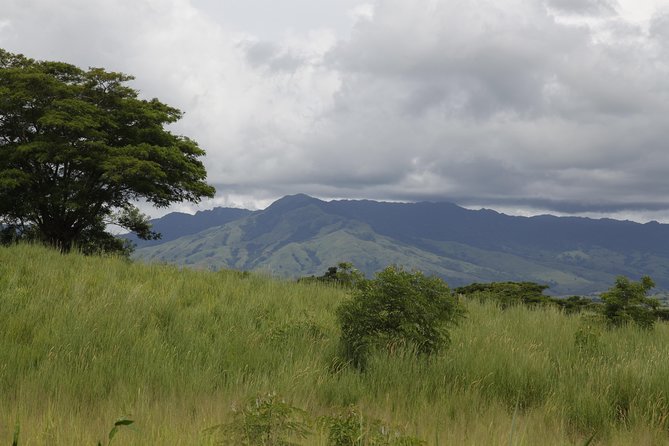 Fiji Local Village, Market, Temple & Garden of Sleeping Giant with Mud Pool Tour - Key Highlights You Should Know Before You Go