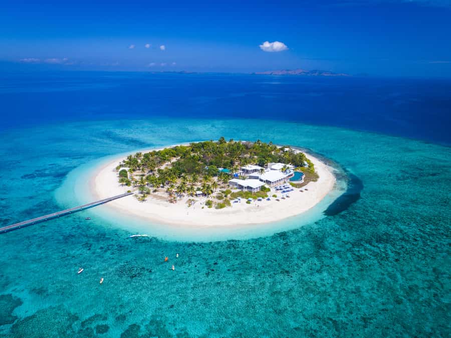 Fiji: Malamala Beach Club Half-Day Trip - Malamala Beach Club: White Sand, Infinity Pool, and Proper Island Time