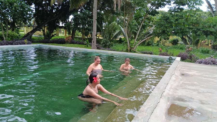 FIJI-NADI: Sabeto Tifajek Hot Spring and Mudpool Tour - What is included, what is optional, and what you should measure your expectations against