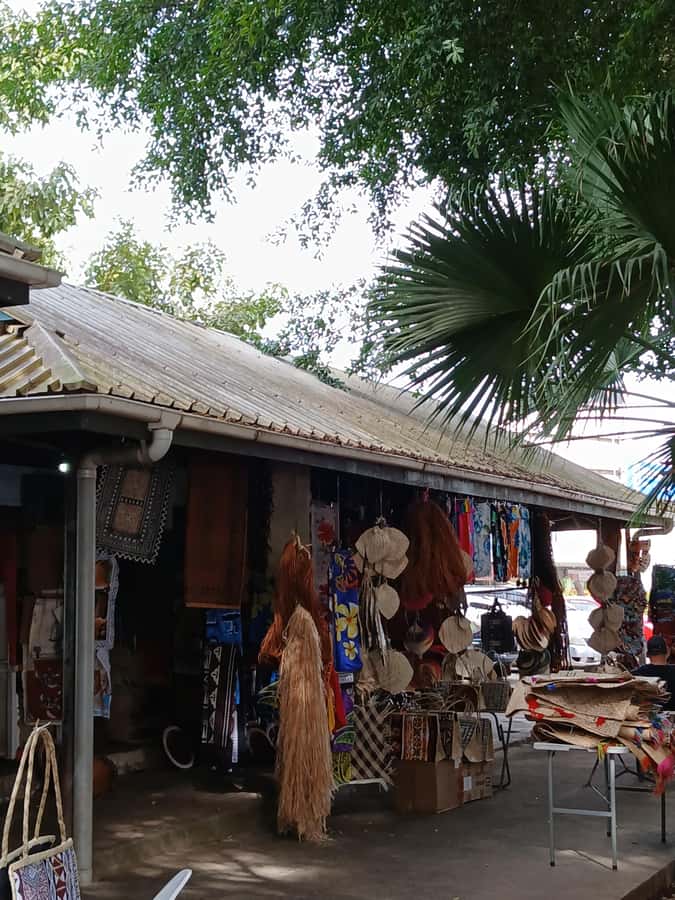 Fiji: Nadi Tour with Tifajek Mudpool and Hotspring Visit - Nadi handicraft markets and Namaka Mini Market: local buys with limited time