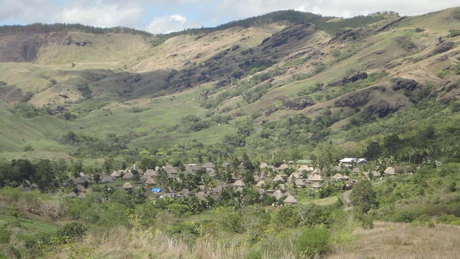 Fiji: Navala Village Cultural Tour & Traditional Lunch - Traditional lunch that connects to what villagers grow and gather