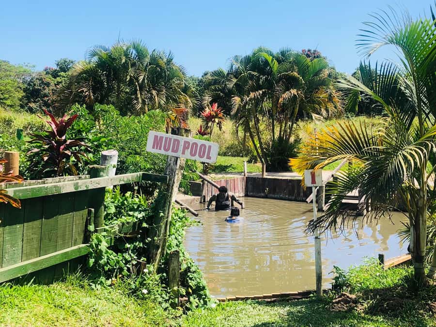 FIJI: Sabeto Hotspring & Mudpool Tours, Tickets & Transfers - Entering the right site: Sabeto first, then Tifajek next door