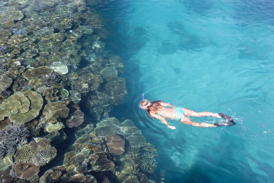 Fiji: South Sea Island Combo Half Day Trip Lunch & Drinks - Key Highlights You’ll Feel Right Away