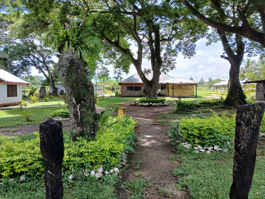 Fiji: Tifajek Mud Pool & Hotspring Tours & Tickets - The optional traditional Fijian massage, when it makes sense