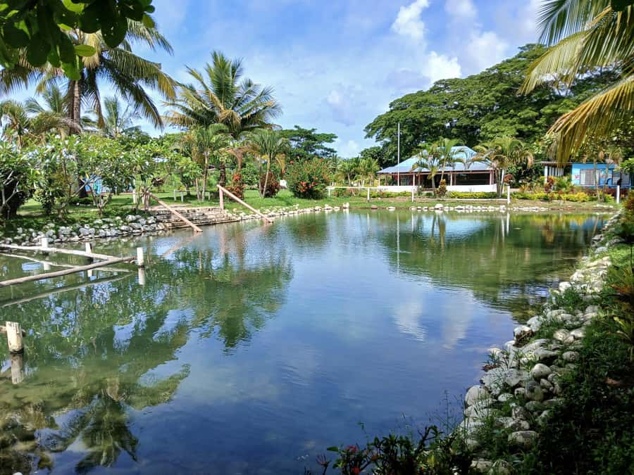 Fiji: Tifajek Mud Pool & Hotspring Tours & Tickets - What to bring for comfort, and what to leave at home