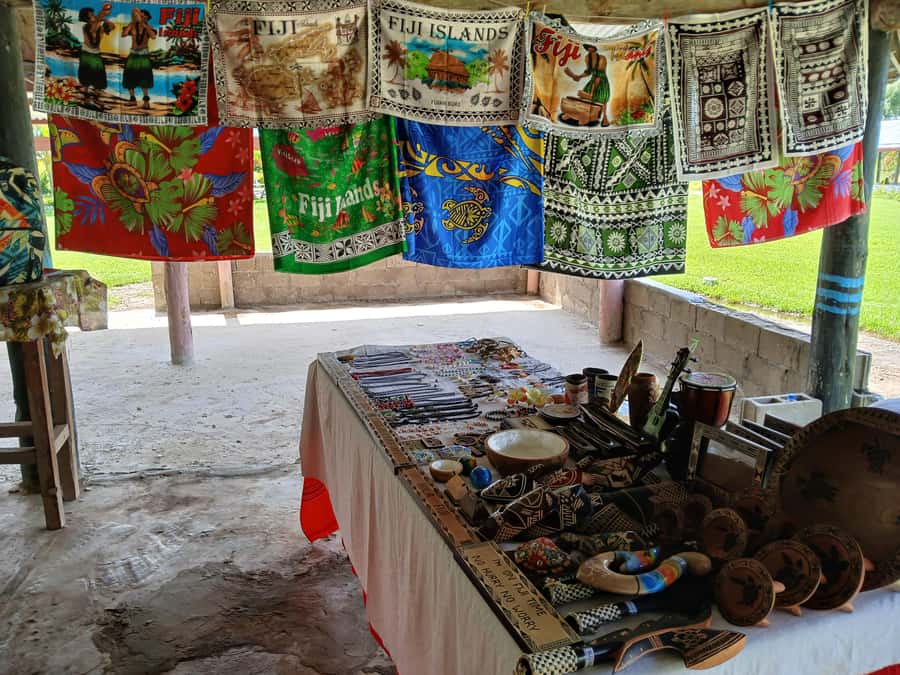 Fiji: Tifajek Mud Pool & Hotspring Tours & Tickets - Who this tour fits best, and who should think twice