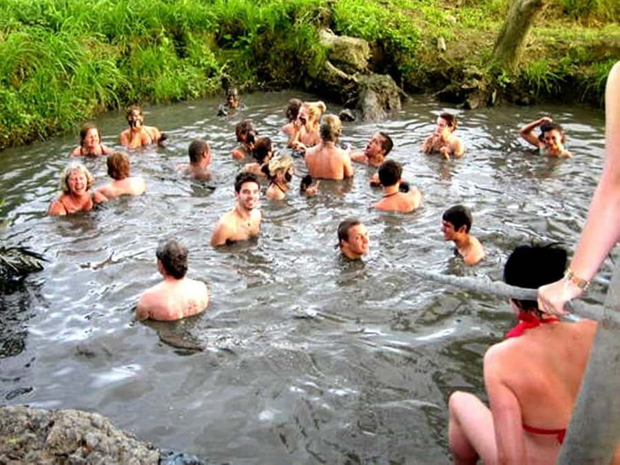 Fiji: Tifajek Mud Pool & Hotspring Tours & Tickets - From Denarau and Nadi to Sabeto, how the day is paced