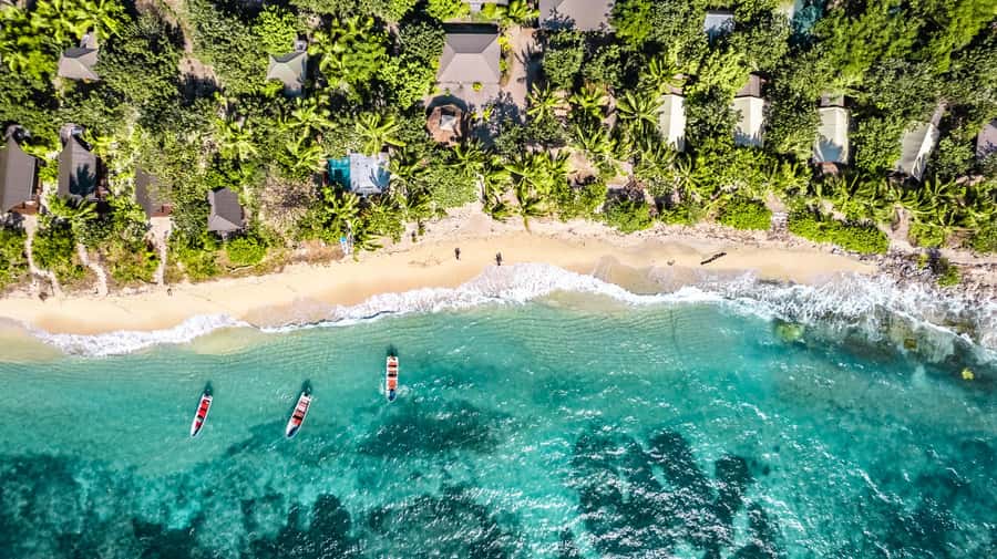 Fiji: Ultimate Encounters Snorkel with Sharks and Lunch - Quick Takeaways: What Makes This Trip Worth Your Time