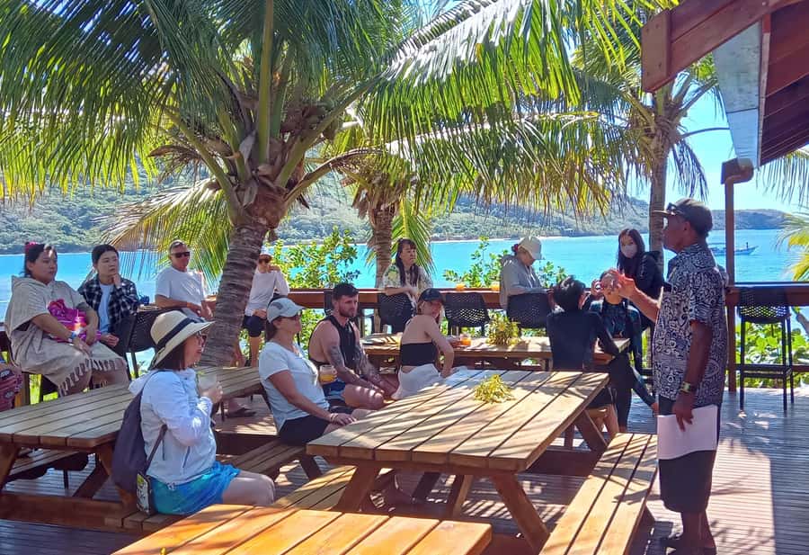 Fiji: Ultimate Encounters Snorkel with Sharks and Lunch - The Shark Snorkel: What You Will See, and How to Get the Most Out of It