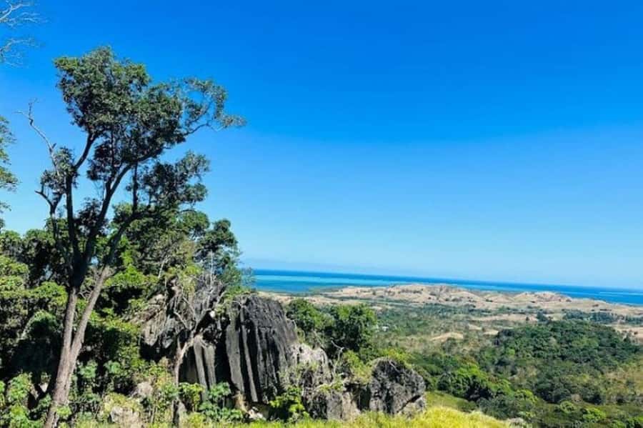 Fiji: Zipline Adventure and Cave Exploration - The Mountain Start, Vesi Trees, and That First Look Down