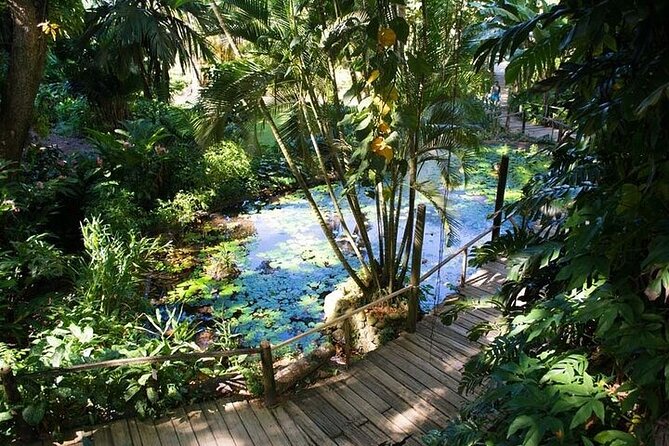 Full Day Discover Nadi Tour ( From Sigatoka Coral coast Hotels ) - Nadi town stops: Tappoo Nadi and Namaka produce markets
