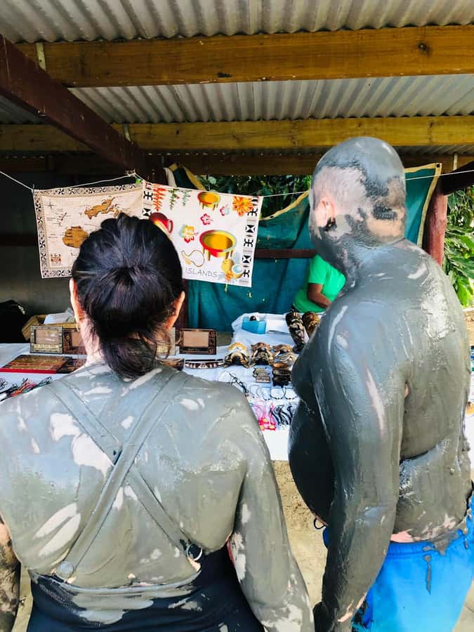 Garden of Sleeping Giant with Sabeto Hotspring Mudpool Tour - Price and value around $47: what’s included, and where your money goes