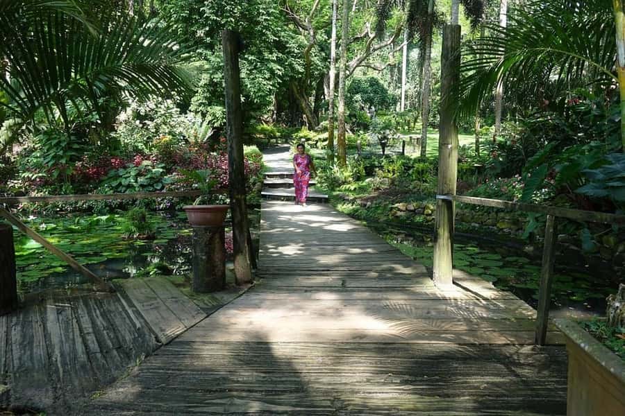 Garden of Sleeping Giant with Tifajek Mudpool Hotspring Tour - Massages as an Optional Add-on, Including the Foot Soak Detail