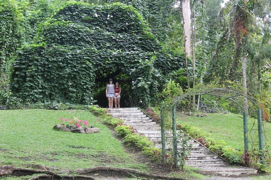 Garden of Sleeping Giant with Tifajek Mudpool Hotspring Tour - Price and Value at $65: What You’re Actually Paying For