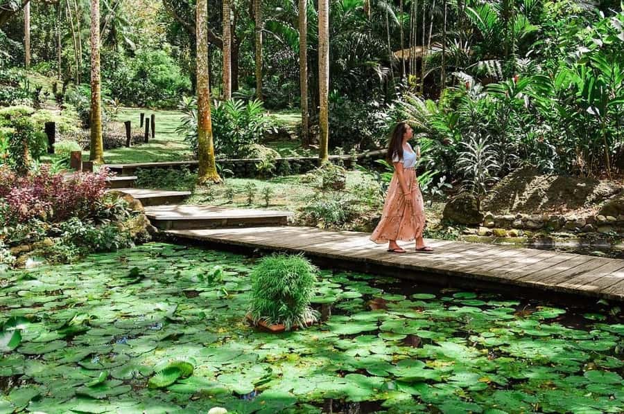 Garden of Sleeping Giant with Tifajek Mudpool Hotspring Tour - Getting Picked Up in Nadi, and Why Timing Can Feel Different