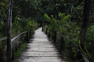 garden of the sleeping giant and mudpool tour combo