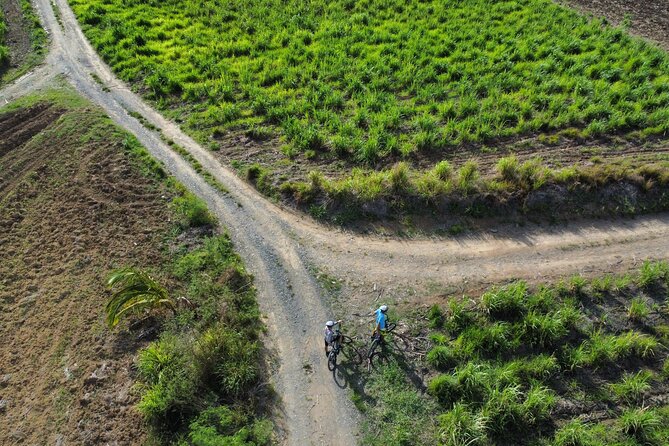 Guided E-bike Tour - Who This Tour Suits Best (and Who Might Want a Different Day)