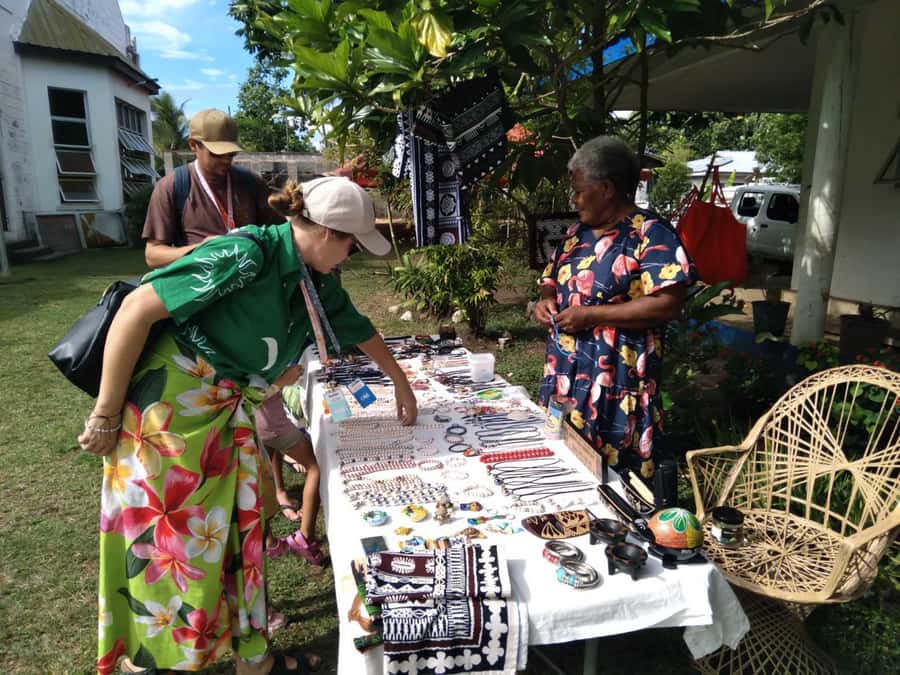 Guided Lautoka Shore Excursions - Price and Value for a Private, Air-Conditioned Shore Tour