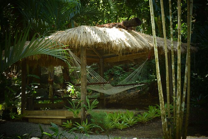Half Day Mudpools, Veseisei Fijian Village, Gardens of Sleeping Giants &Shopping - Veseisei Fijian Village: where the story starts, and why the guide matters