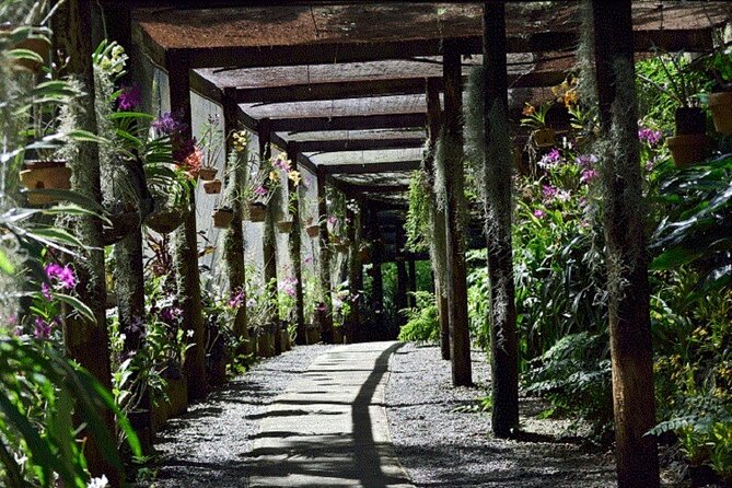 Half Day Mudpools, Veseisei Fijian Village, Gardens of Sleeping Giants &Shopping - Nadi market time, Hindu temple viewing, and handicraft browsing