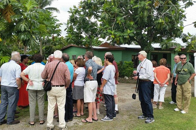 Half Day Mudpools, Veseisei Fijian Village, Gardens of Sleeping Giants &Shopping - Sabeto Hot Springs and Mud Pool: sulphur mud, social energy, and practical tips
