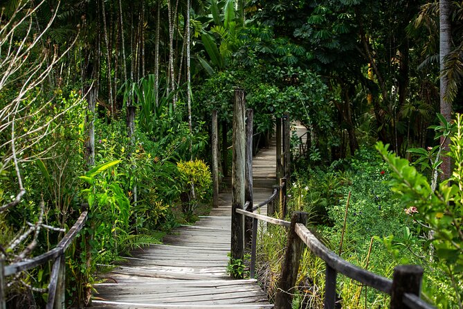 Half Day Nadi Tour incls Sri Siva Temple, Orchid Gardens,Local Village & Markets - Timing, duration, and what to plan around for a 4 to 5 hour day