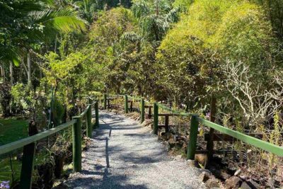 Half Day Nadi Tour Temple, Market, Gardens and Mud Pools