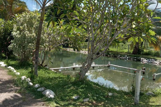 Half Day Nadi Tour Temple, Market, Gardens and Mud Pools - Stop 5: Sabeto Mud Pools and Hot Springs, guided and actually relaxing