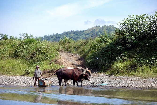 Half Day Sigatoka River Jetboat & Village Tour with Lunch & Transfers - Who This Tour Suits Best (And Who Might Want to Skip It)