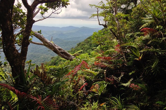 Hiking Adventure including Fiji's Highest Mountain and 3 Nights - Entering Fiji’s interior, not just hiking for views