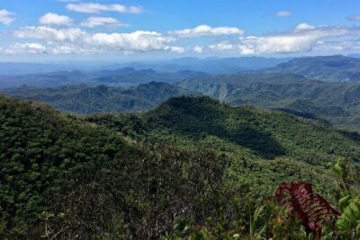 Hiking Adventure including Fiji’s Highest Mountain and 3 Nights