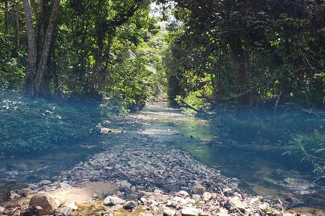 iconic waterfall tour - Natadola Beach Free Time: When the Day Turns into Your Day