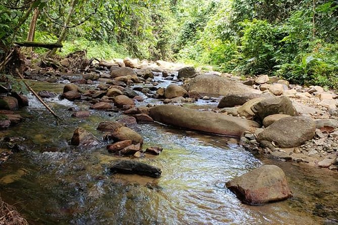 iconic waterfall tour - Sigatoka Town Shopping Stop: Quick, Useful, and Flexible