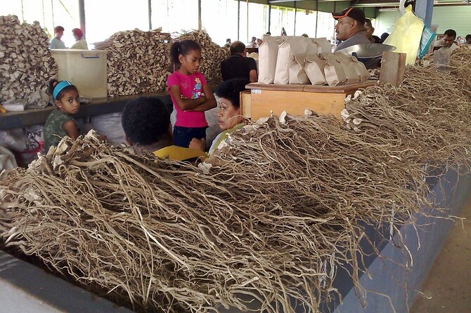 Kava Factory Tour and Flavored Kava Tasting Experience - Key Highlights You’ll Care About