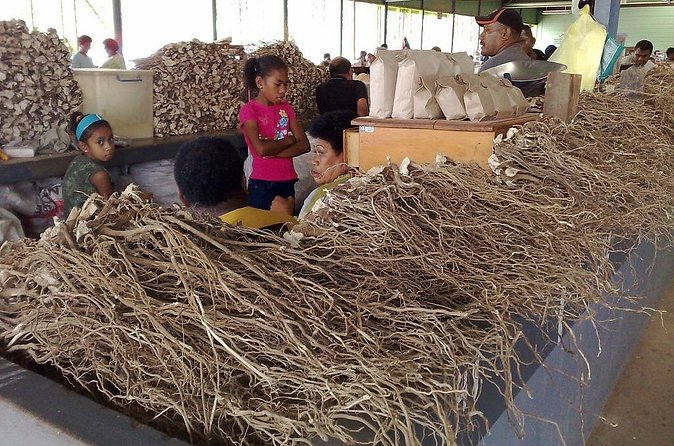 Kava Factory Tour and Flavored Kava Tasting Experience - The Kava Market Stop: Why the Local Money Matters