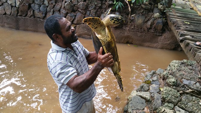 Kiara Package tour - Price and Value: Is $47.04 Fair for a Private Tour?