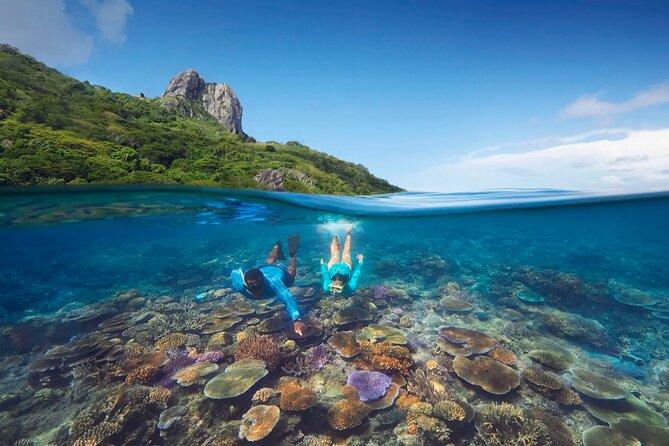 Kuata Island Marine Conservation Experience with Lunch - From Port Denarau to Barefoot Kuata: how the day runs