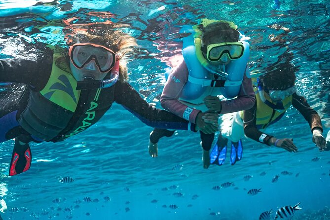 Kuata Island Marine Conservation Experience with Lunch - The high-speed catamaran ride: fast, scenic, and organized