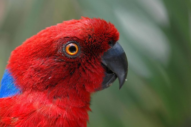 Kula Eco Park Admission - Key highlights you should care about