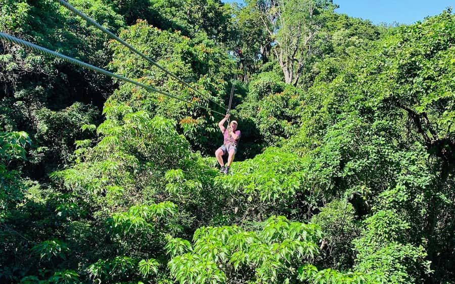 Largest Zipline & Cave Exploration from sigatoka coral coast - Cave Exploration After the Flight: Limestone, Vesi, and Rain Trees