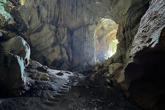 Largest Zipline in South Pacific & Cave Exploration Coral Coast - Vesi trees and the ecosystems story you’ll actually remember