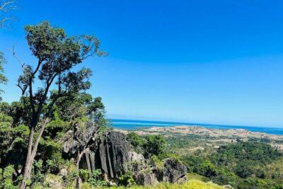 Private Breathtaking Koroyanitu Half Day Waterfall Hike