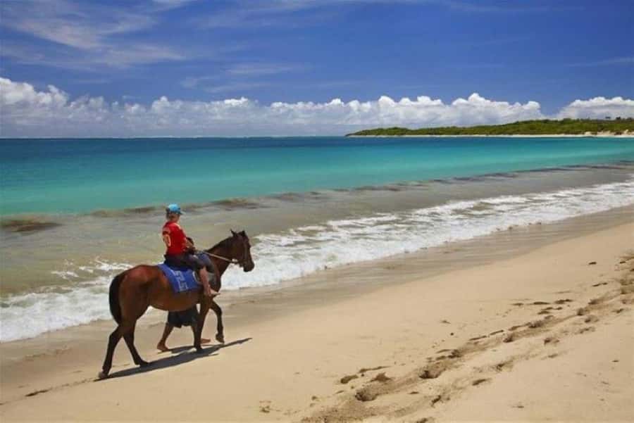Lawai Pottery Village & Natadola Beach Kava Ceremony & Meke - Horse riding and extras: fun add-ons, extra cost, limited inclusions