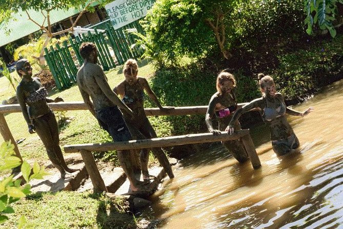 Mud Pools-Nadi Private Therapeutic Pools, Gardens, Temple, Market &Shopping Tour - Pickup and private transport: the real comfort upgrade