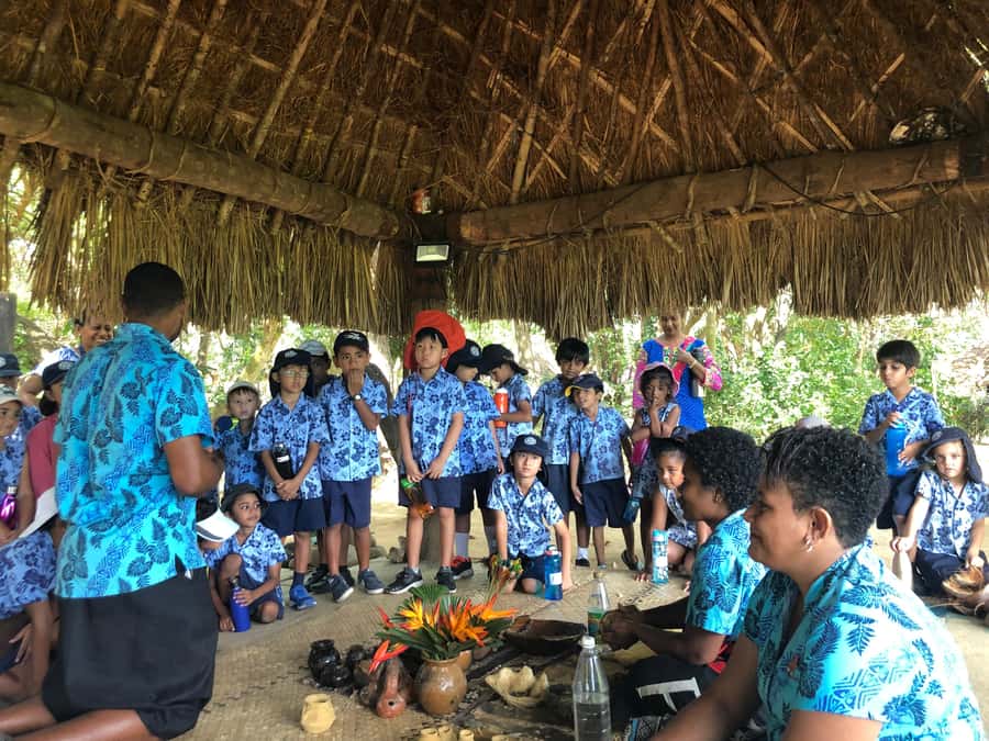 Nadi: Fijan Culture Night Tour with Dinner & Kava Ceremony - Who should book it, and who should skip it