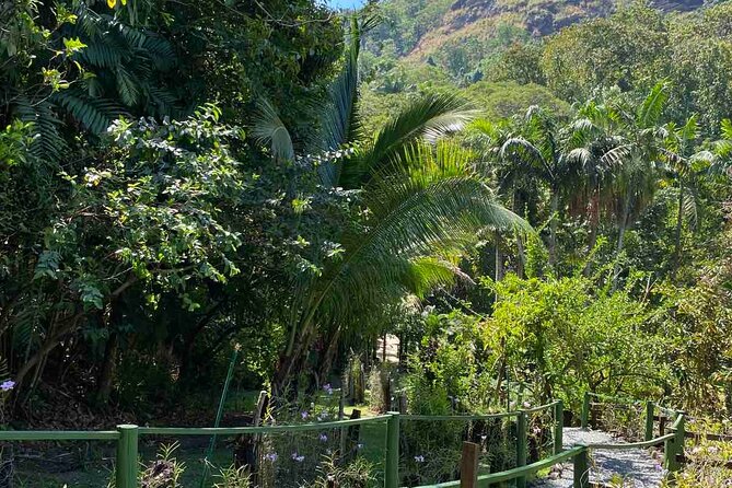Nadi Fiji Historical Half Day Tour - Stop 1: Sri Siva Subramaniya Swami Temple, history you can actually hear