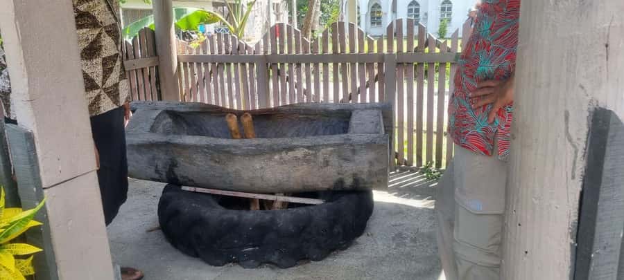 Nadi: Garden Village Hot Spring & Temple Highlights Tour - Garden of the Sleeping Giant, The Orchid Walk That Earns Its Time