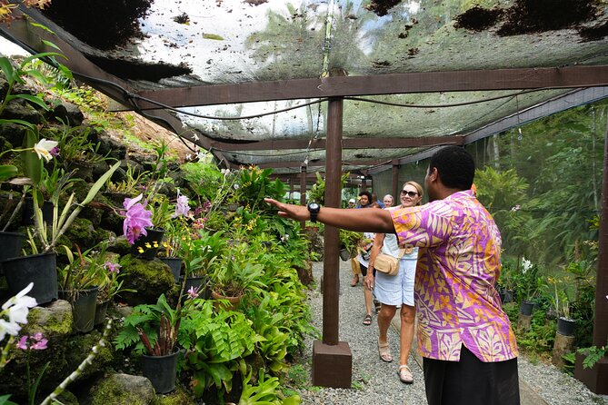 Nadi Heritage Tour - TifaJek Mud Pools, the spa moment that refreshes the whole day