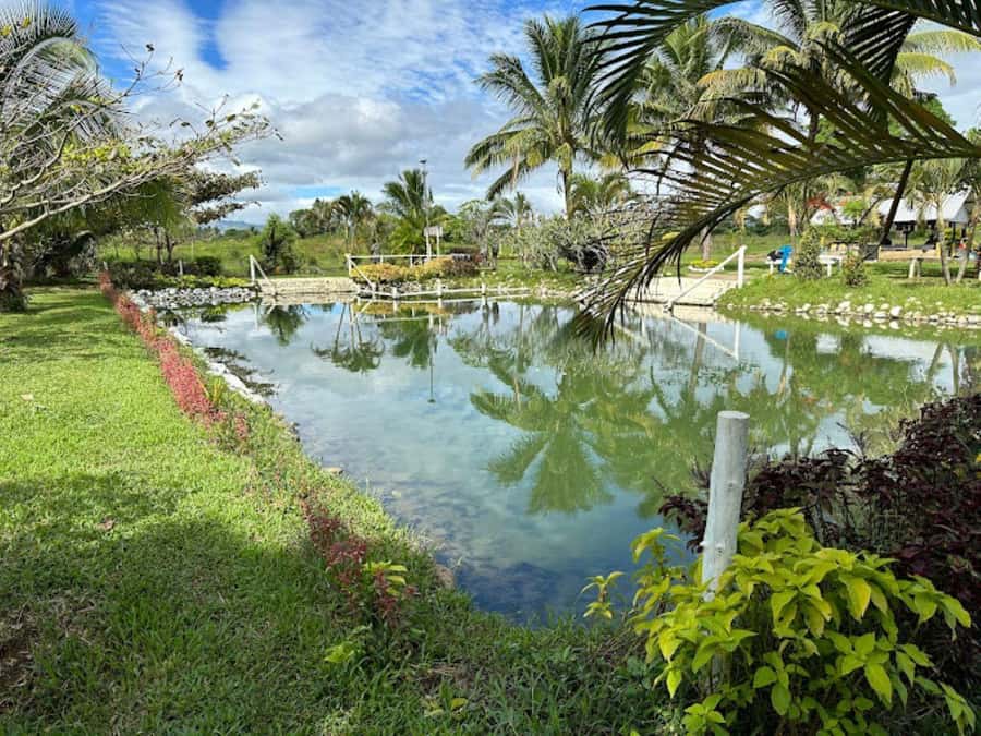 Nadi: Mud Pool and Hot Spring Private Tour - Why the Sabeto Mud Pool and Hot Spring feels like a Fiji reset